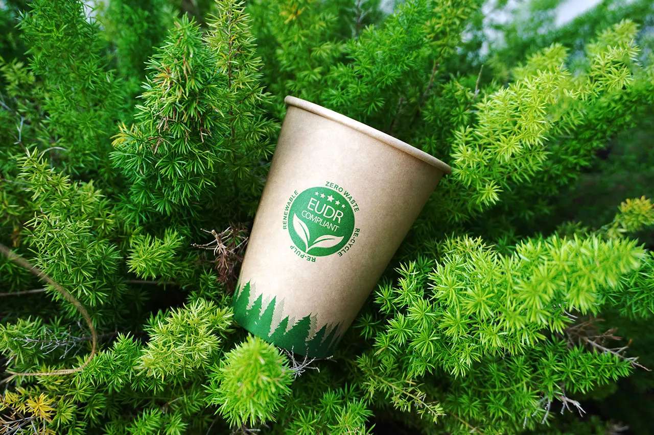 Single Wall Paper Cup